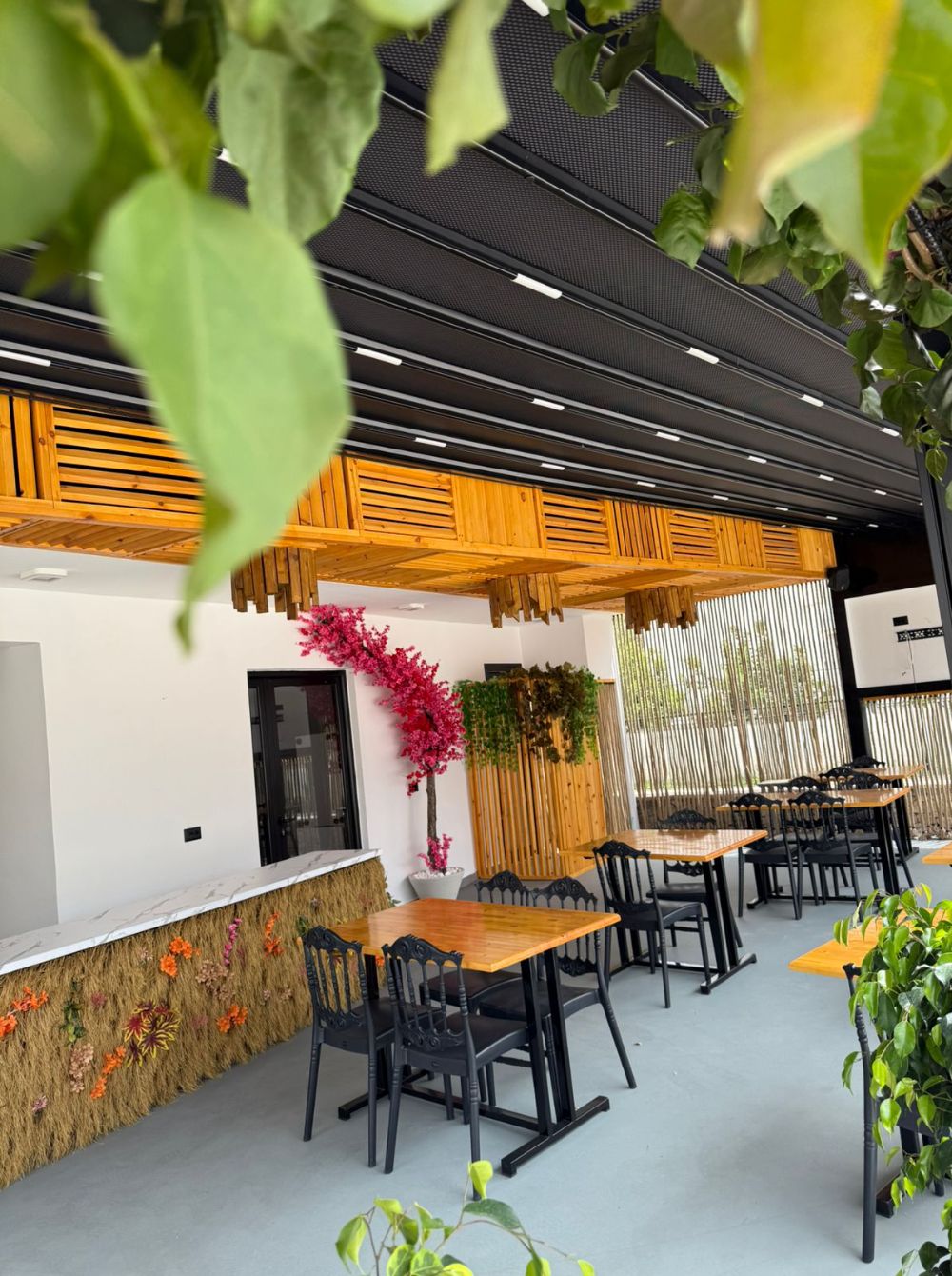 The Crepe Shack